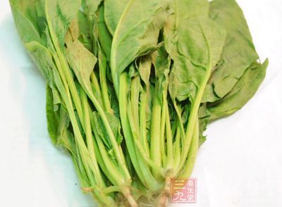 菠菜去頭洗淨