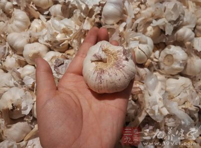 干裙帶菜10克、大蒜10克、辣椒幾片