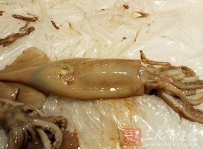 鮮鱿魚,澱粉,蛋液,面包屑,料酒,鹽,孜然粉 鮮鱿魚,澱粉,蛋液,面包屑,料酒,鹽,孜然粉