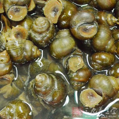 材料:花螺200g,粗鹽 材料:花螺200g,粗鹽