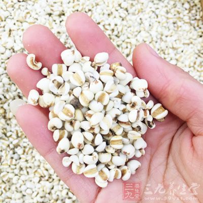 准備薏米50克 准備薏米50克