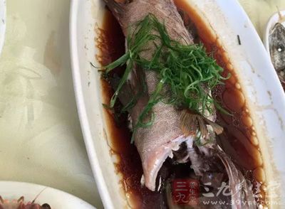 又稱花鲈、鲈子魚