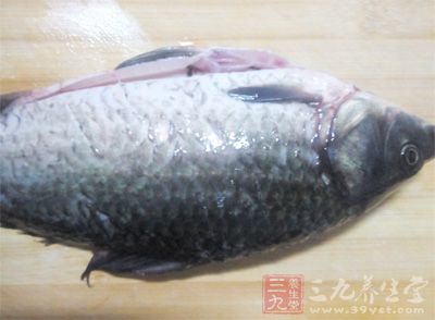 水開了以後再放入鲫魚