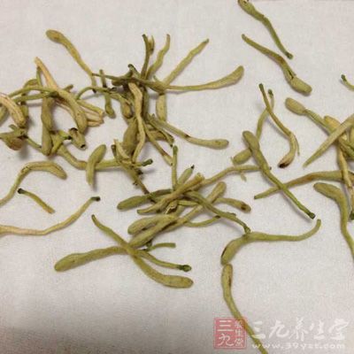 這款湯金銀花、菊花不可多放