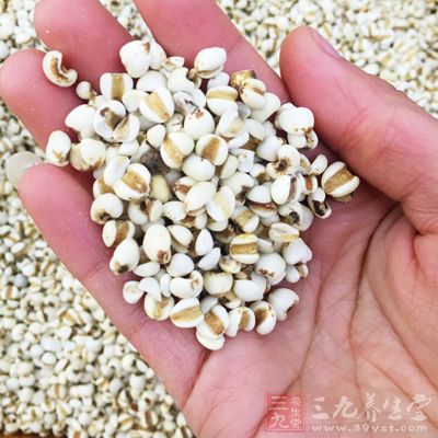 薏米具有很好的祛濕作用