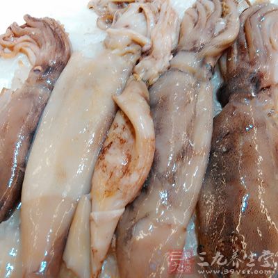 鱿魚的營養價值非常高