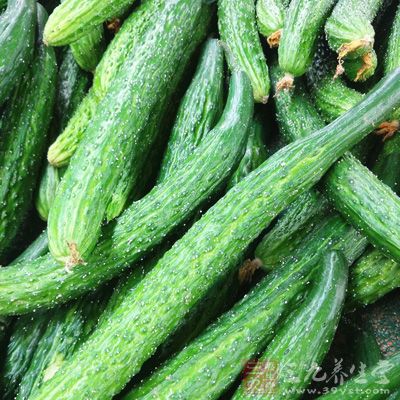 新鮮的面條(生)250g、黃瓜1/2根、雞蛋(煮)1/2個