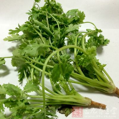 對蝦300克,香菜30克,鹽3克 對蝦300克,香菜30克,鹽3克