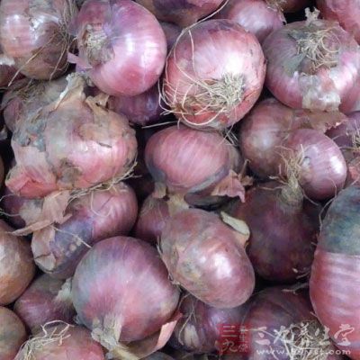 調制茄汁肉醬，番茄、洋蔥、大蒜切碎