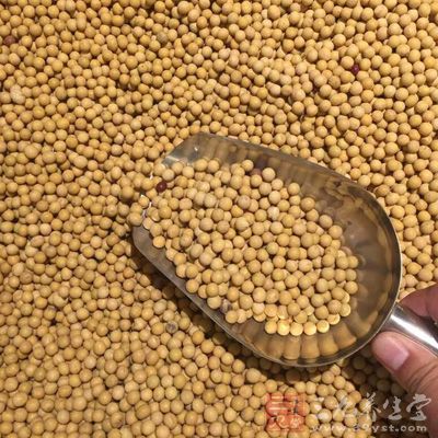 排骨250克,黃豆一把,苦瓜一根約250克 排骨250克,黃豆一把,苦瓜一根約250克
