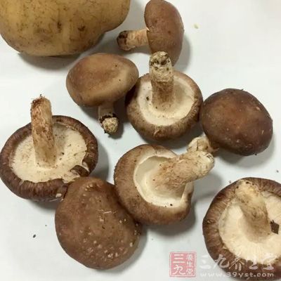 雞琵琶腿2只,鮮香菇10朵,中型土豆1個 雞琵琶腿2只,鮮香菇10朵,中型土豆1個