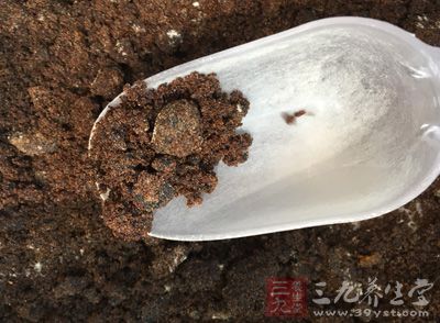 面粉500g,水320g,酵母3g,紅糖適量,白芝麻適量 面粉500g,水320g,酵母3g,紅糖適量,白芝麻適量