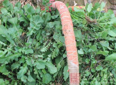 鮮肉餡、荠菜、青菜各占1/3、鮮肉餡150克、荠菜500克、青菜500克 鮮肉餡、荠菜、青菜各占1/3、鮮肉餡150克、荠菜500克、青菜500克