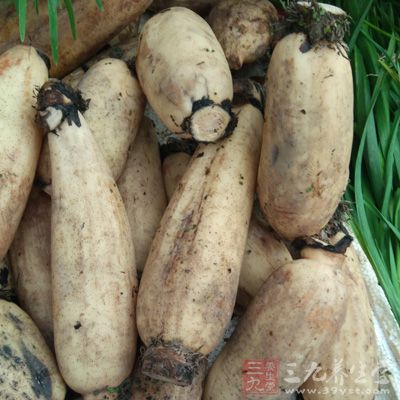 蓮藕約400克、胡蘿卜、黃瓜、大蔥 蓮藕約400克、胡蘿卜、黃瓜、大蔥