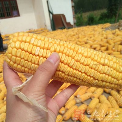 玉米，煉乳10克，玉米粉