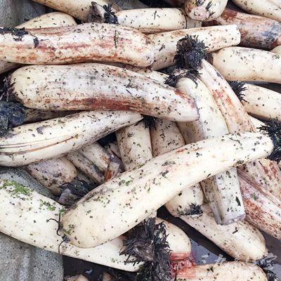 蓮藕200克,鳝魚150克,油、蔥姜、鹽、料酒、雞精適量 蓮藕200克,鳝魚150克,油、蔥姜、鹽、料酒、雞精適量