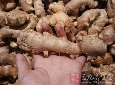 走地雞半只，姜2 片，醬油三大匙