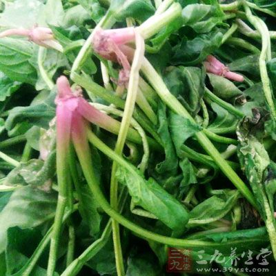 將菠菜洗淨,放入果汁機中打成菠菜汁 將菠菜洗淨,放入果汁機中打成菠菜汁