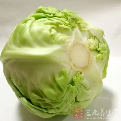 圓白菜維生素C含量很豐富