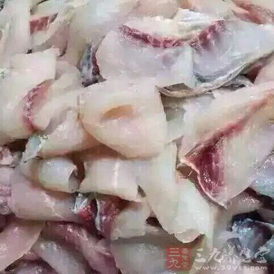 魚肉可提供大量優質蛋白質