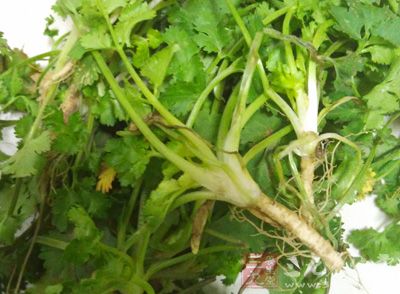 芝麻醬、沙茶醬、山椒醬、海鮮醬油、腐乳、香菜 芝麻醬、沙茶醬、山椒醬、海鮮醬油、腐乳、香菜