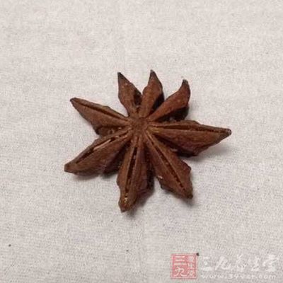香料不要多，一個八角就夠了