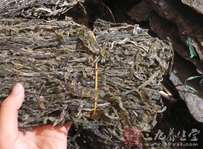 佛手瓜,干海帶,黃皮甜洋蔥,蘿卜苗,紅色菜椒 佛手瓜,干海帶,黃皮甜洋蔥,蘿卜苗,紅色菜椒