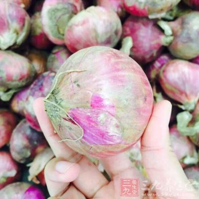 大洋蔥1顆，新鮮大鼠尾草葉8片
