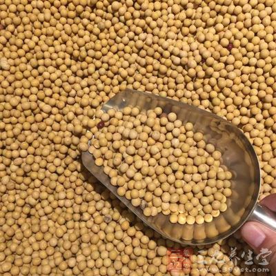 黃豆1.5杯,買來的日本納豆一小盒 黃豆1.5杯,買來的日本納豆一小盒