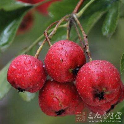 往鍋裡倒入適量冷水，也可放入幾顆山楂