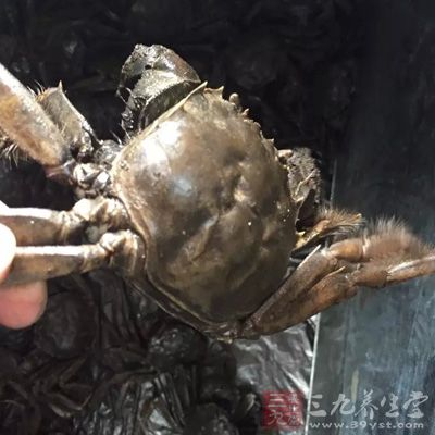 姜花6~8朵、新鮮花蟹2只、花雕酒、姜絲小許、雞蛋2只 姜花6~8朵、新鮮花蟹2只、花雕酒、姜絲小許、雞蛋2只