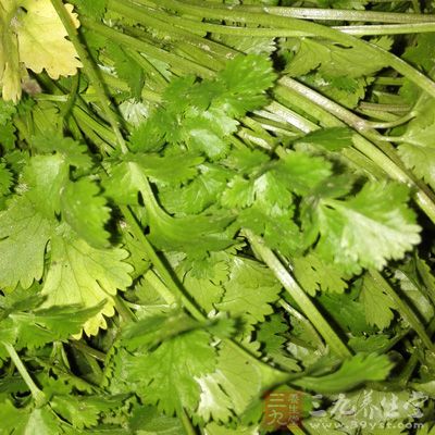 蔥適量、蒜適量、蒜苗適量、香菜少許