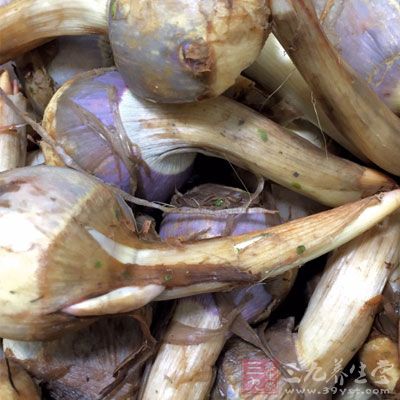 茨菇1000克,草魚250克 茨菇1000克,草魚250克