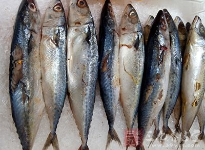 金槍魚一條+半杯粉碎了的全麥餅干 金槍魚一條+半杯粉碎了的全麥餅干