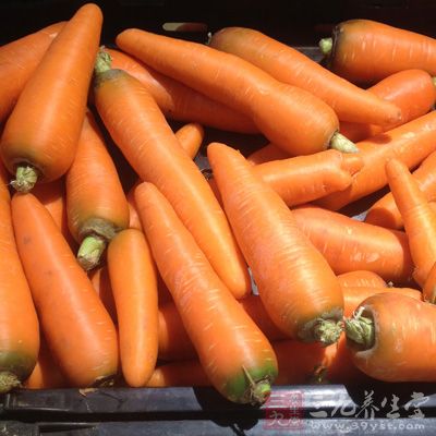 膳食纖維能調節食物的吸收和排洩 膳食纖維能調節食物的吸收和排洩