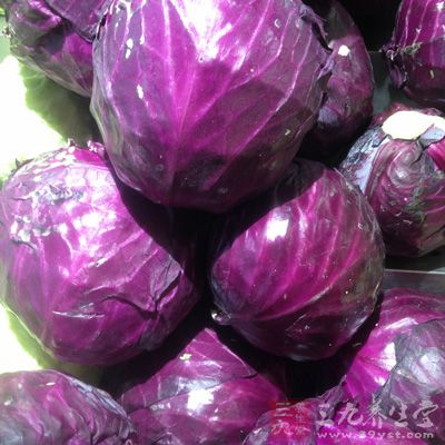 紫甘藍是冬季蔬菜中營養的“集大成者” 紫甘藍是冬季蔬菜中營養的“集大成者”