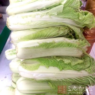 大白菜20棵、鹽2斤，水