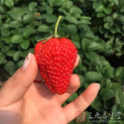 糯米粉50克，玉米澱粉15克，牛奶90CC，糖45克，油5克，草莓8個