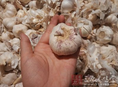 大蒜頭3000克,醋1500克,白糖860克 大蒜頭3000克,醋1500克,白糖860克