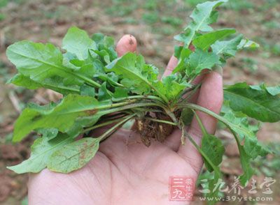 荠菜,嫩豆腐,豬裡脊肉絲,鹽,雞精,水澱粉,香麻油 荠菜,嫩豆腐,豬裡脊肉絲,鹽,雞精,水澱粉,香麻油