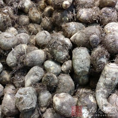 芋頭,支竹,南乳,青菜,鹽,糖 芋頭,支竹,南乳,青菜,鹽,糖