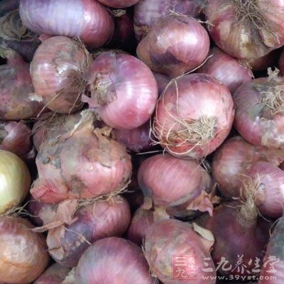 將洋蔥絲鋪在盤底