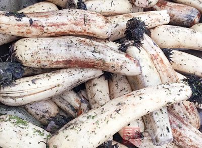 藕，花椒，大蒜，姜，蘋果，醬油，蔭岐，辣叔醬，鹽