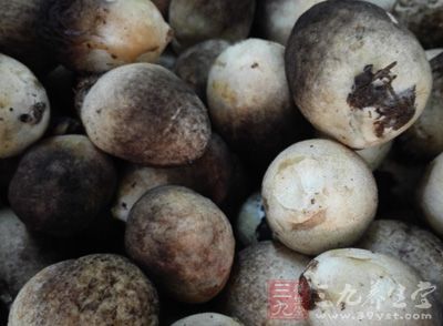 草菇320克,黃豆芽320克,北豆腐200克 草菇320克,黃豆芽320克,北豆腐200克