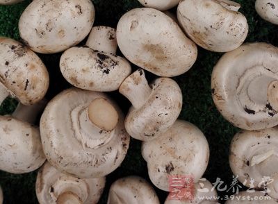 蘑菇，澱粉，面粉，鹽