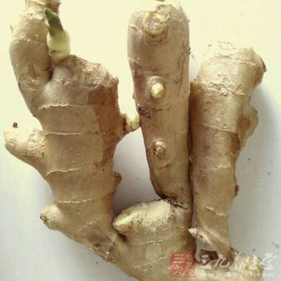 鵝1塊,南乳,海鮮醬,鹽,酒,姜,蒜,糖,醬油 鵝1塊,南乳,海鮮醬,鹽,酒,姜,蒜,糖,醬油