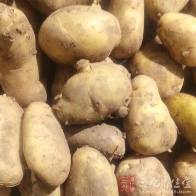 狗肉,土豆,洋蔥,胡蘿卜,鹽,味精 狗肉,土豆,洋蔥,胡蘿卜,鹽,味精
