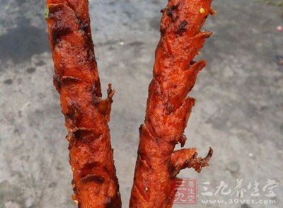 說起烤腸，大家肯定都吃過