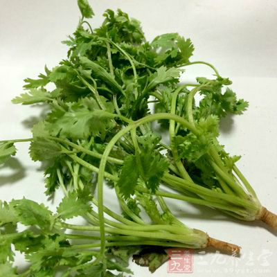 豬大腸頭、番茄沙司、糖色、香菜 豬大腸頭、番茄沙司、糖色、香菜
