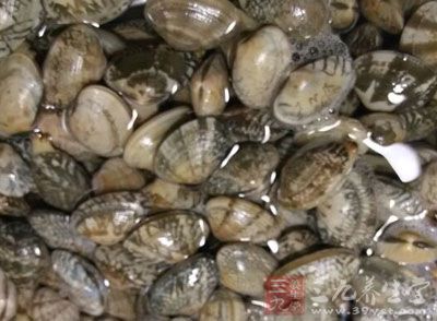 花蛤首先要用流水反復沖洗干淨，然後用手稍稍揉搓一下